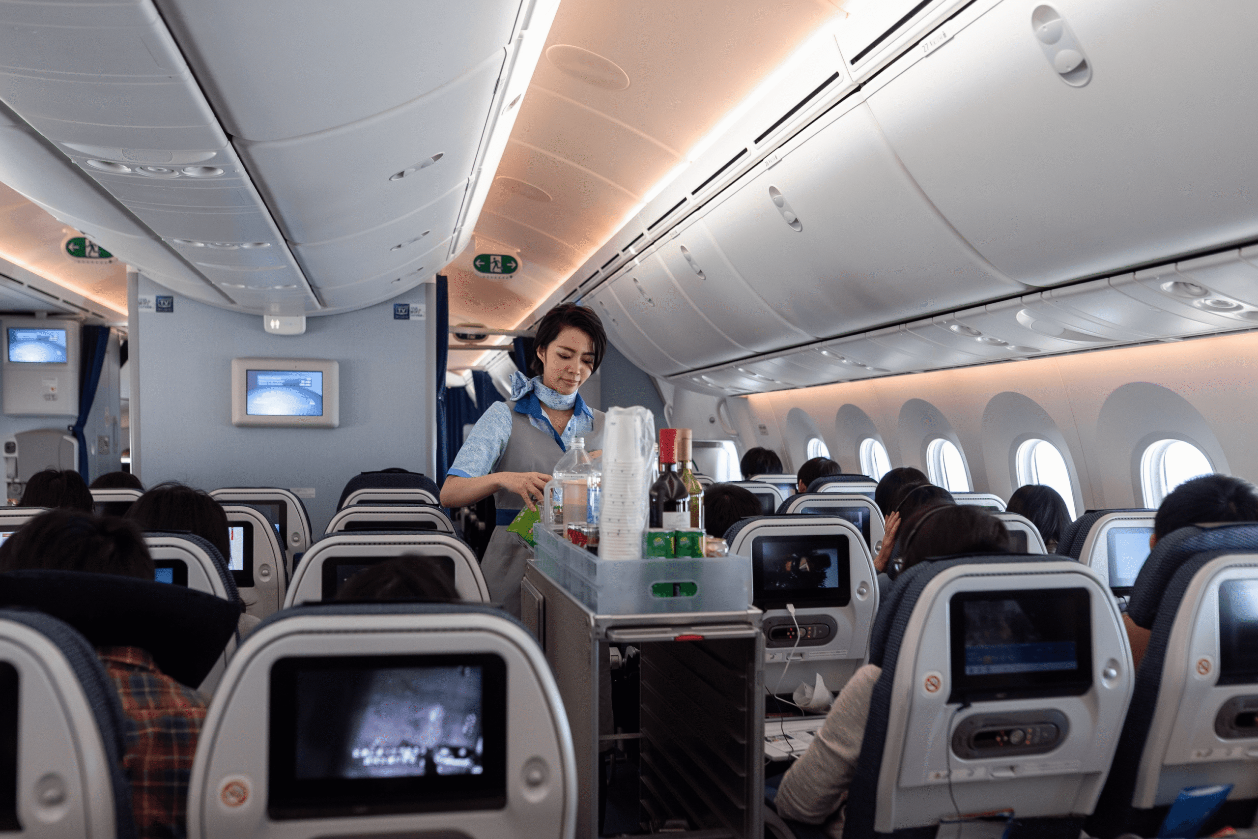 Flight attendant career inspiration — aviation career change, serving passengers, and starting a new career at any age